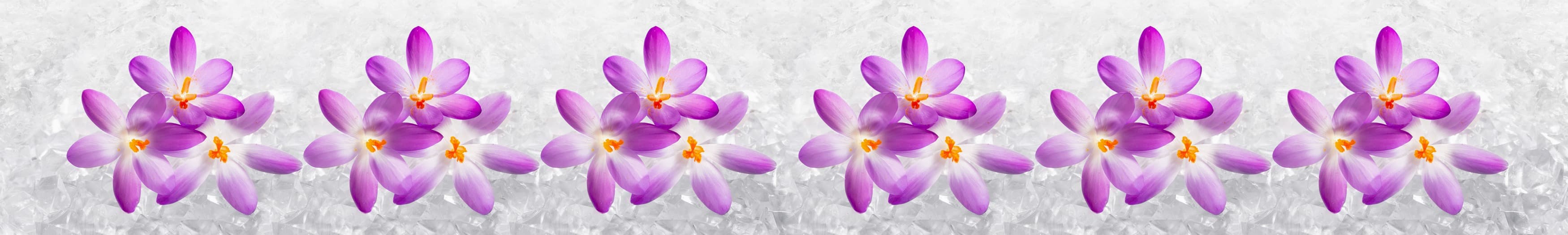 <span  class="uc_style_uc_tiles_grid_image_elementor_uc_items_attribute_title" style="color:#ffffff;">skinali-10710</span>