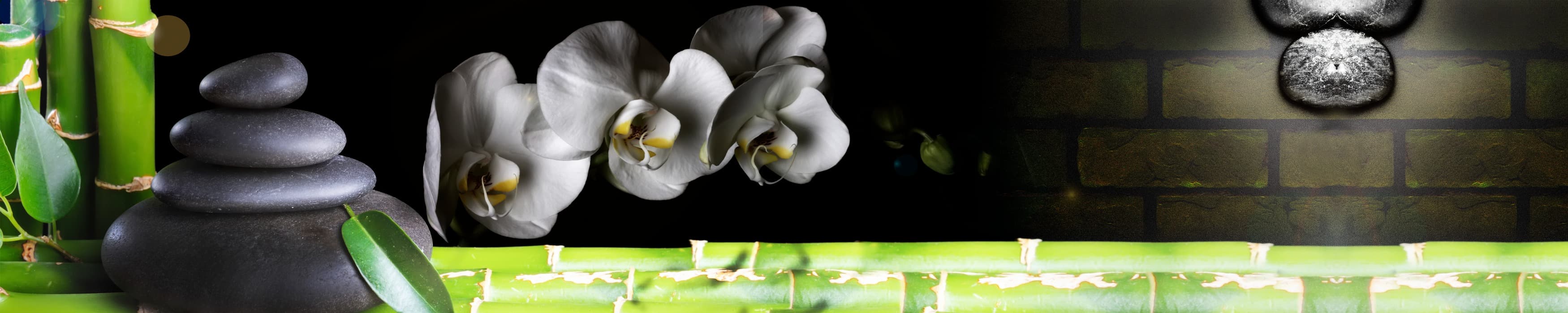 <span  class="uc_style_uc_tiles_grid_image_elementor_uc_items_attribute_title" style="color:#ffffff;">skinali-10712</span>