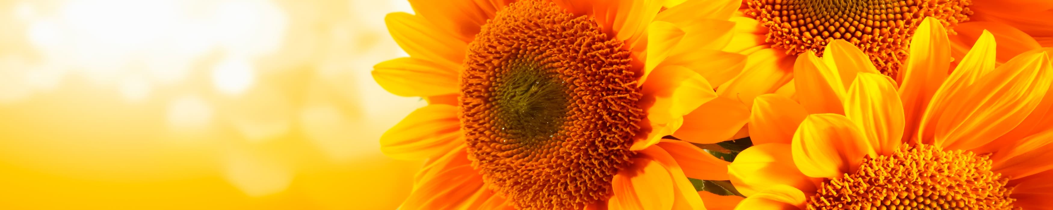 <span  class="uc_style_uc_tiles_grid_image_elementor_uc_items_attribute_title" style="color:#ffffff;">skinali-10721</span>