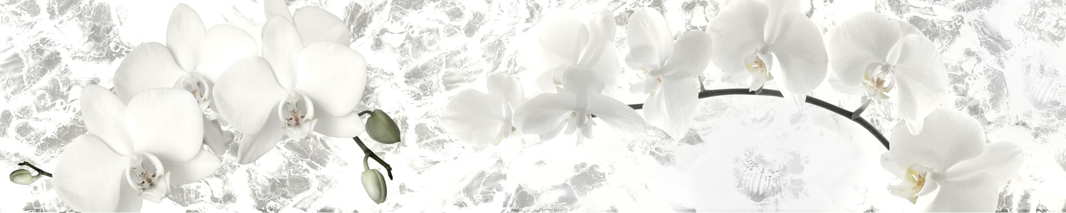 <span  class="uc_style_uc_tiles_grid_image_elementor_uc_items_attribute_title" style="color:#ffffff;">skinali-10742</span>