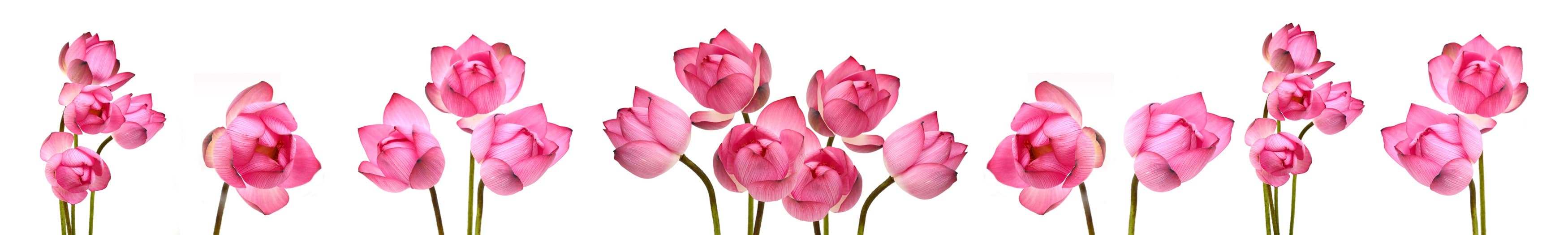 <span  class="uc_style_uc_tiles_grid_image_elementor_uc_items_attribute_title" style="color:#ffffff;">skinali-10750</span>