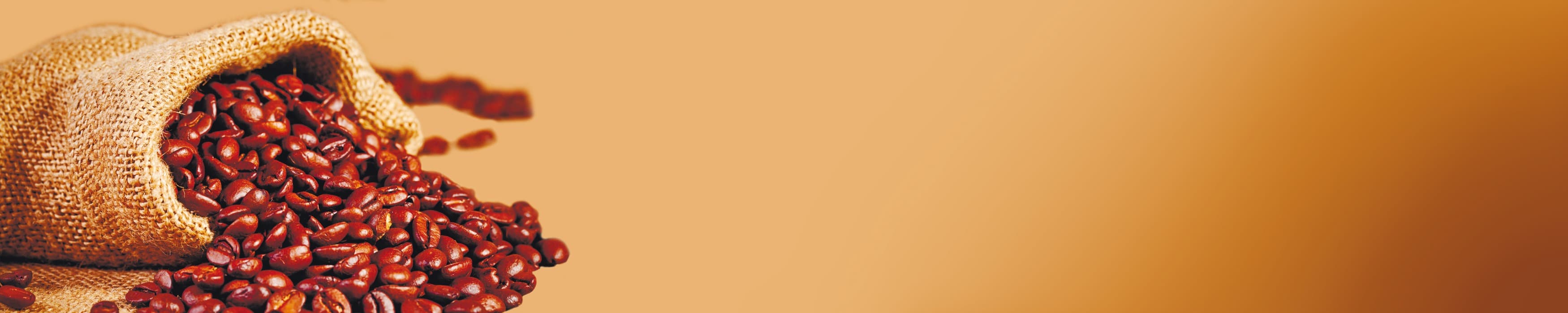 <span  class="uc_style_uc_tiles_grid_image_elementor_uc_items_attribute_title" style="color:#ffffff;">skinali-10759</span>