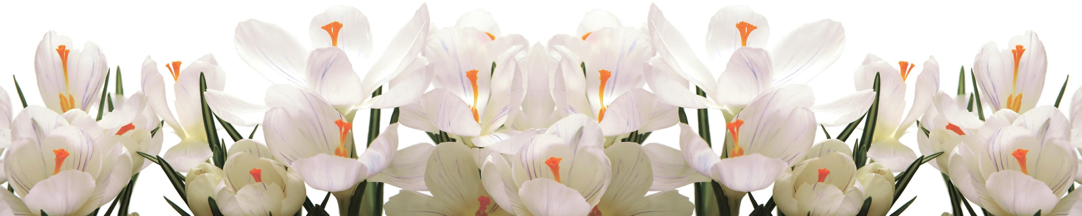 <span  class="uc_style_uc_tiles_grid_image_elementor_uc_items_attribute_title" style="color:#ffffff;">skinali-10762</span>