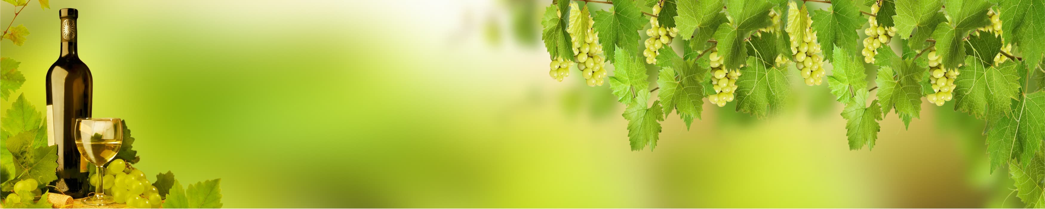 <span  class="uc_style_uc_tiles_grid_image_elementor_uc_items_attribute_title" style="color:#ffffff;">skinali-10765</span>