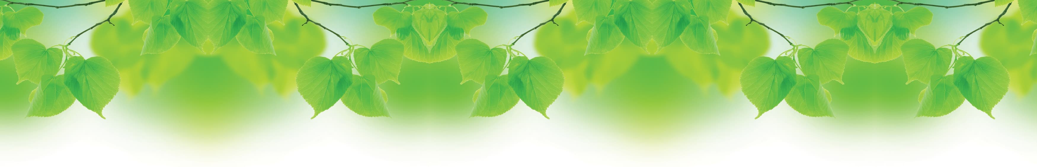 <span  class="uc_style_uc_tiles_grid_image_elementor_uc_items_attribute_title" style="color:#ffffff;">skinali-10768</span>