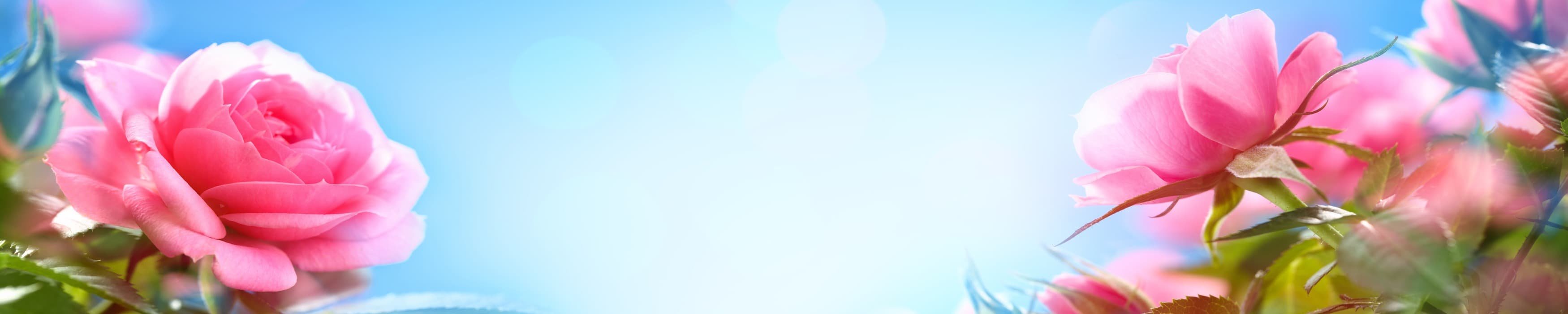 <span  class="uc_style_uc_tiles_grid_image_elementor_uc_items_attribute_title" style="color:#ffffff;">skinali-10792</span>