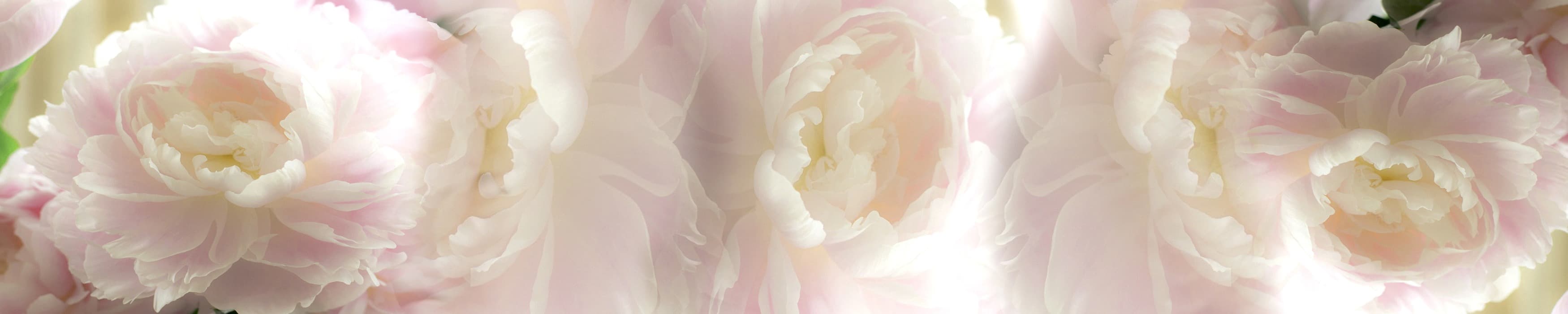 <span  class="uc_style_uc_tiles_grid_image_elementor_uc_items_attribute_title" style="color:#ffffff;">skinali-10818</span>