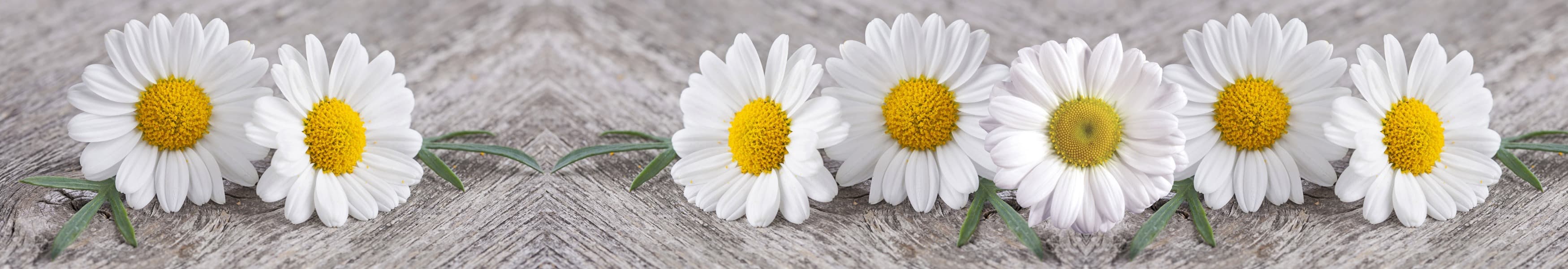 <span  class="uc_style_uc_tiles_grid_image_elementor_uc_items_attribute_title" style="color:#ffffff;">skinali-10833</span>