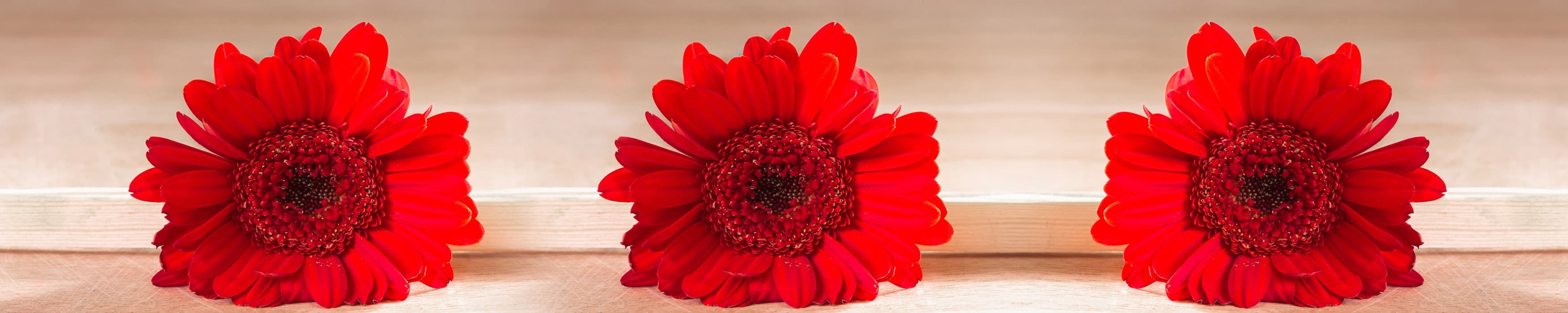 <span  class="uc_style_uc_tiles_grid_image_elementor_uc_items_attribute_title" style="color:#ffffff;">skinali-10837</span>