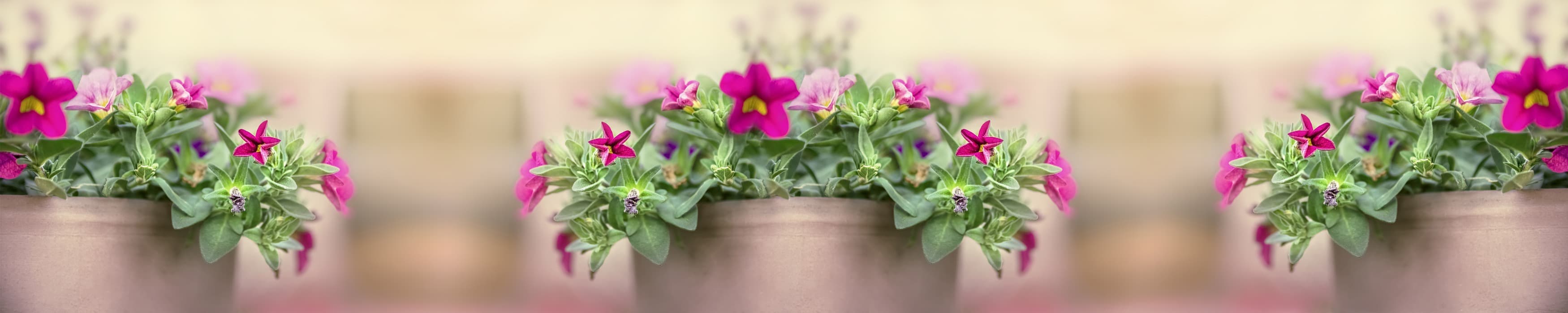 <span  class="uc_style_uc_tiles_grid_image_elementor_uc_items_attribute_title" style="color:#ffffff;">skinali-10839</span>