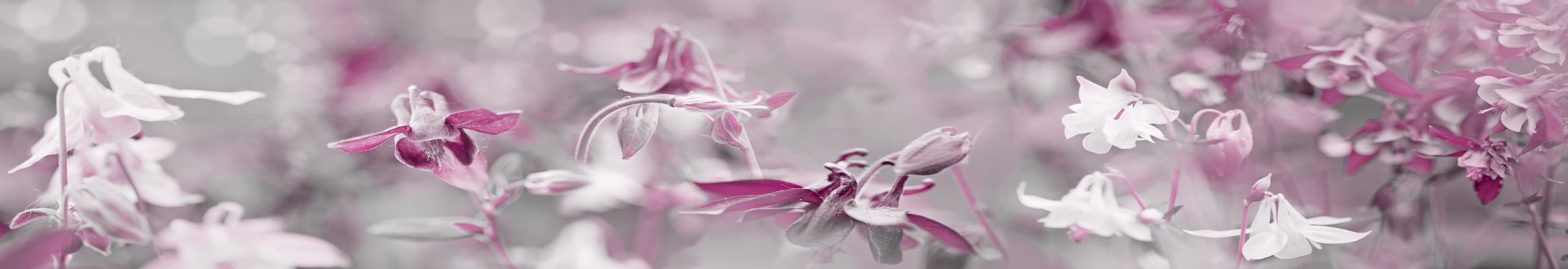 <span  class="uc_style_uc_tiles_grid_image_elementor_uc_items_attribute_title" style="color:#ffffff;">skinali-10855</span>