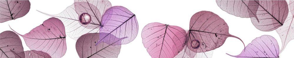 <span  class="uc_style_uc_tiles_grid_image_elementor_uc_items_attribute_title" style="color:#ffffff;">skinali-10904</span>