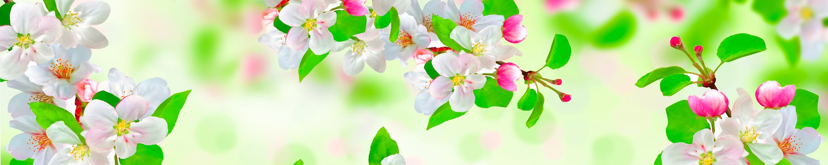 <span  class="uc_style_uc_tiles_grid_image_elementor_uc_items_attribute_title" style="color:#ffffff;">skinali-10939</span>