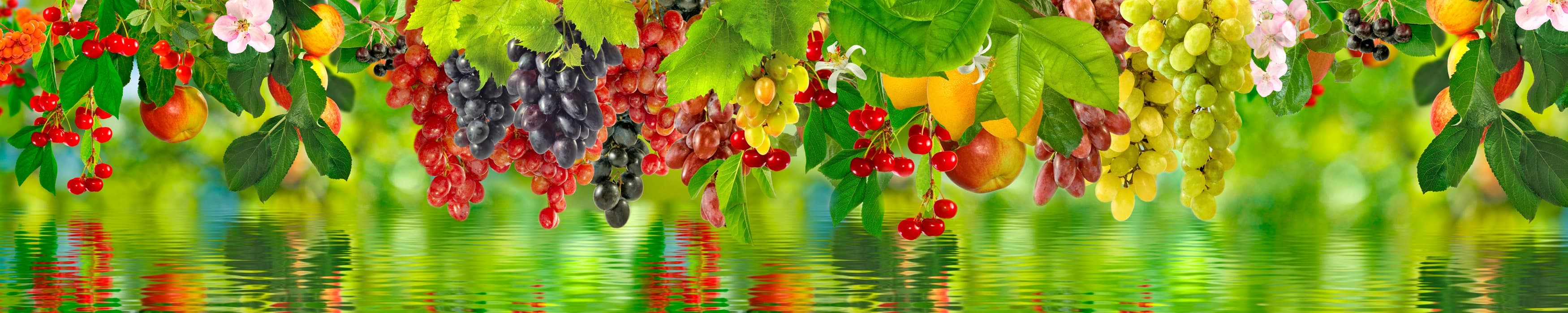 <span  class="uc_style_uc_tiles_grid_image_elementor_uc_items_attribute_title" style="color:#ffffff;">skinali-10998</span>