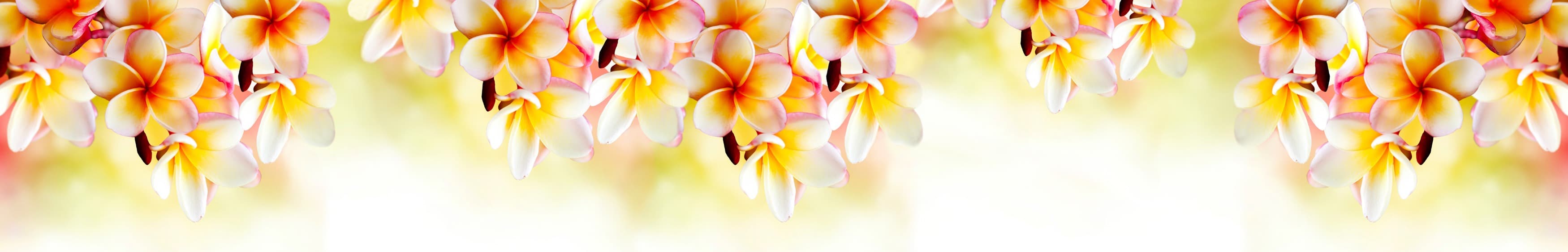 <span  class="uc_style_uc_tiles_grid_image_elementor_uc_items_attribute_title" style="color:#ffffff;">skinali-11042</span>