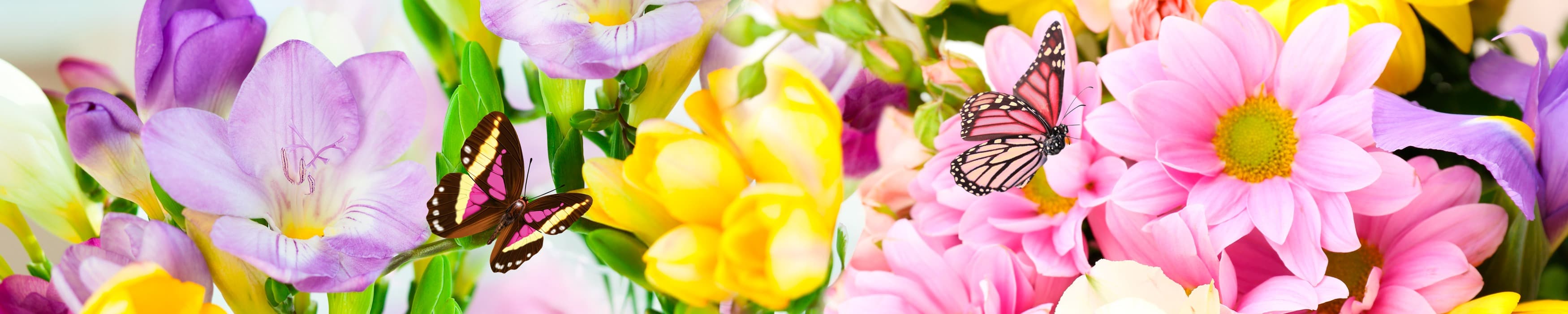 <span  class="uc_style_uc_tiles_grid_image_elementor_uc_items_attribute_title" style="color:#ffffff;">skinali-11044</span>