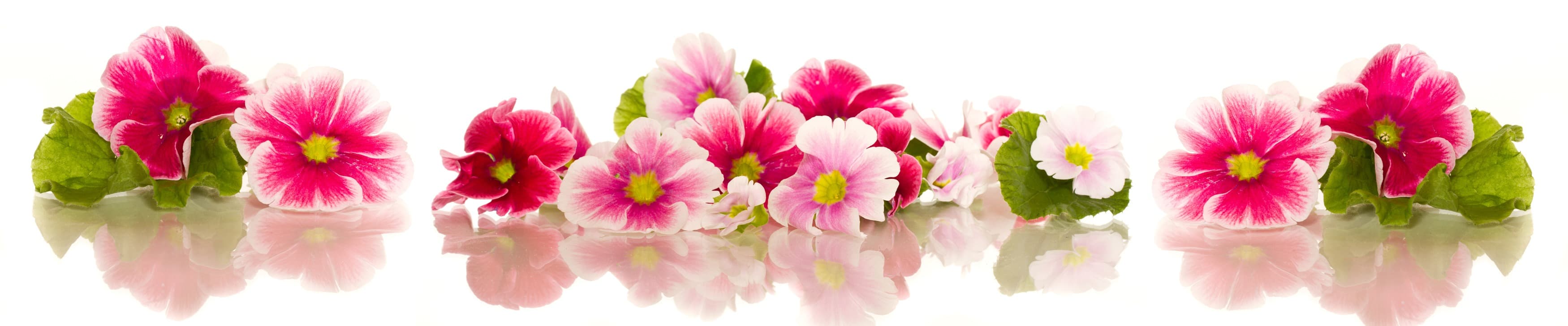 <span  class="uc_style_uc_tiles_grid_image_elementor_uc_items_attribute_title" style="color:#ffffff;">skinali-11049</span>