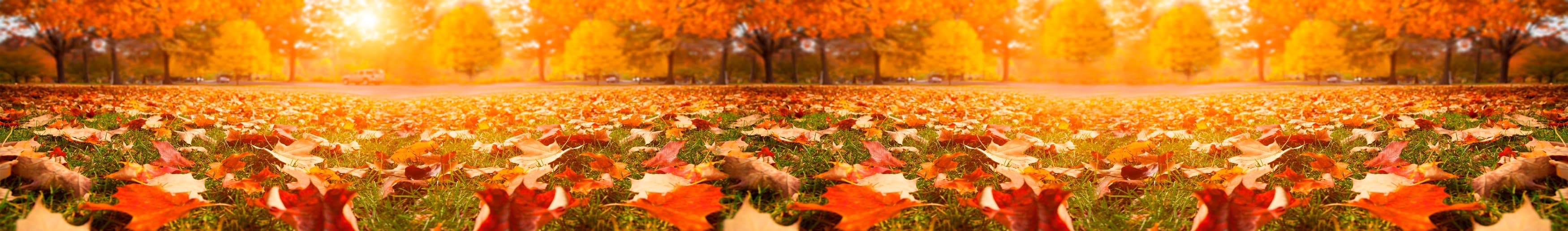 <span  class="uc_style_uc_tiles_grid_image_elementor_uc_items_attribute_title" style="color:#ffffff;">skinali-11078</span>