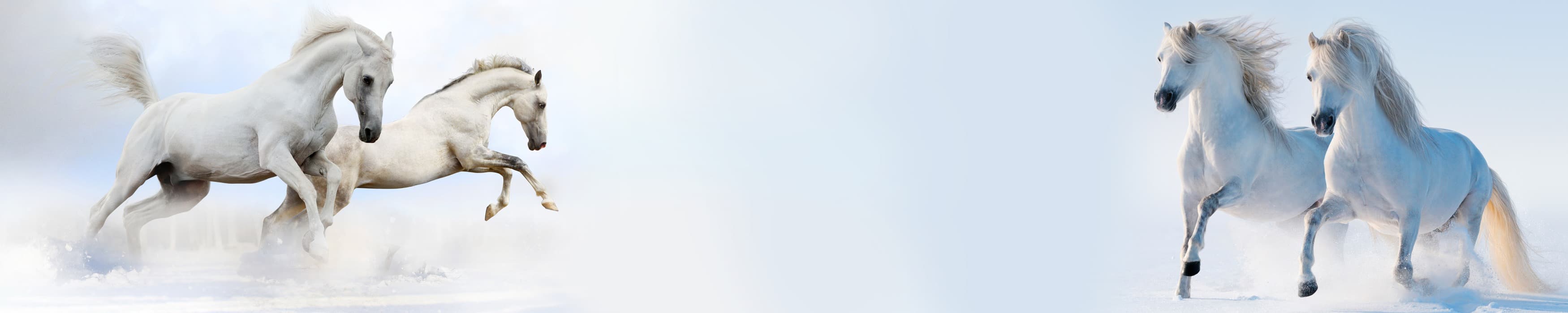 <span  class="uc_style_uc_tiles_grid_image_elementor_uc_items_attribute_title" style="color:#ffffff;">skinali-11080</span>