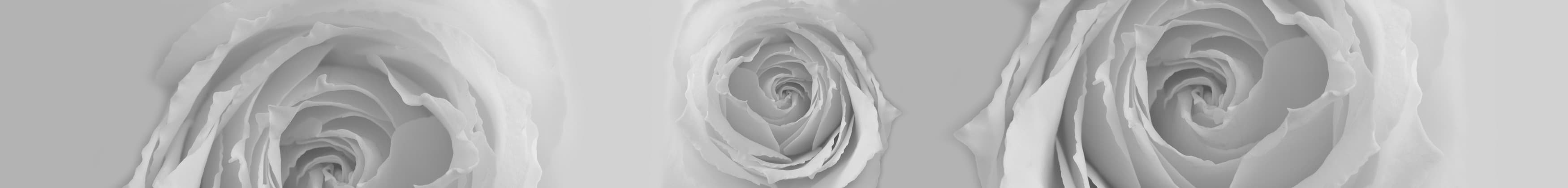 <span  class="uc_style_uc_tiles_grid_image_elementor_uc_items_attribute_title" style="color:#ffffff;">skinali-11138</span>