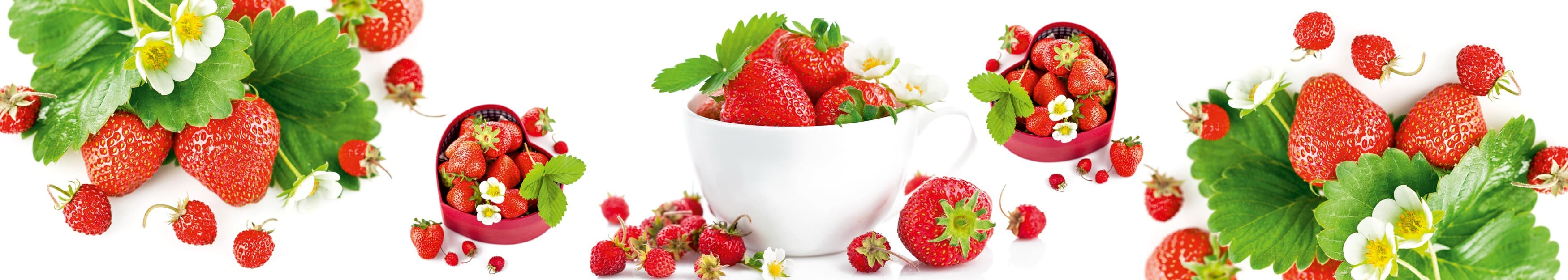 <span  class="uc_style_uc_tiles_grid_image_elementor_uc_items_attribute_title" style="color:#ffffff;">skinali-11182</span>