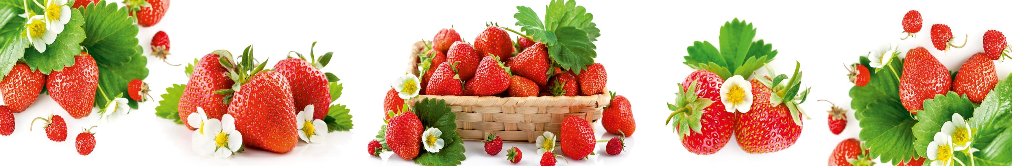 <span  class="uc_style_uc_tiles_grid_image_elementor_uc_items_attribute_title" style="color:#ffffff;">skinali-11183</span>