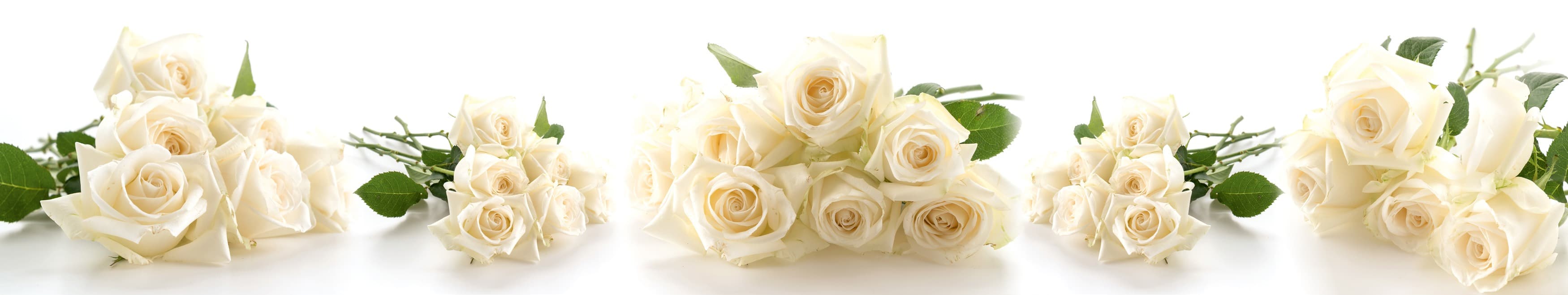 <span  class="uc_style_uc_tiles_grid_image_elementor_uc_items_attribute_title" style="color:#ffffff;">skinali-11193</span>