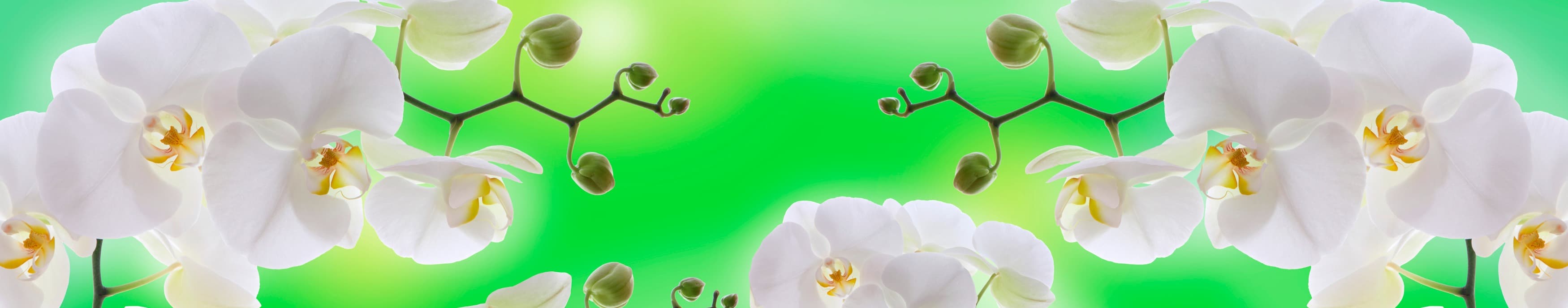 <span  class="uc_style_uc_tiles_grid_image_elementor_uc_items_attribute_title" style="color:#ffffff;">skinali-11234</span>
