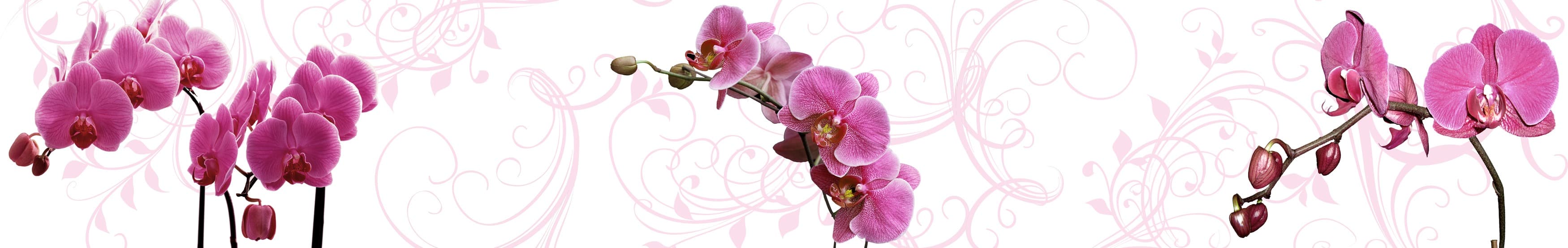 <span  class="uc_style_uc_tiles_grid_image_elementor_uc_items_attribute_title" style="color:#ffffff;">skinali-11263</span>