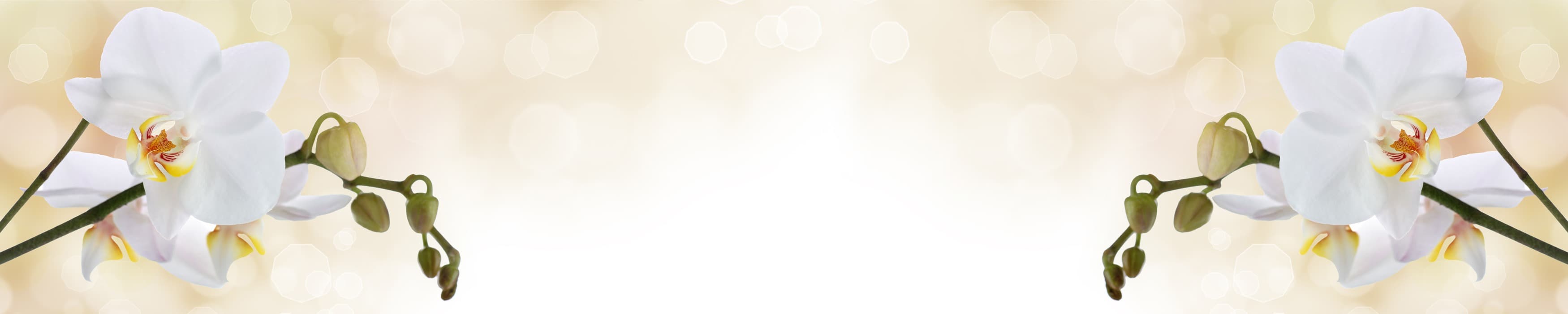 <span  class="uc_style_uc_tiles_grid_image_elementor_uc_items_attribute_title" style="color:#ffffff;">skinali-11287</span>