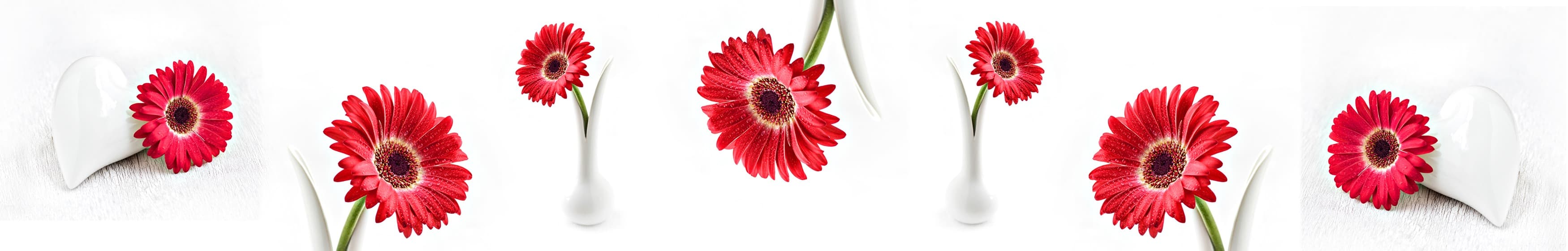 <span  class="uc_style_uc_tiles_grid_image_elementor_uc_items_attribute_title" style="color:#ffffff;">skinali-11295</span>