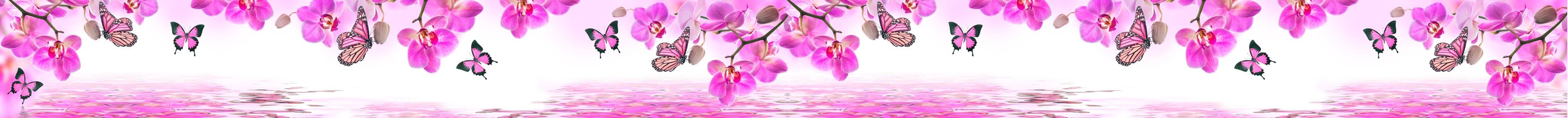 <span  class="uc_style_uc_tiles_grid_image_elementor_uc_items_attribute_title" style="color:#ffffff;">skinali-11300</span>
