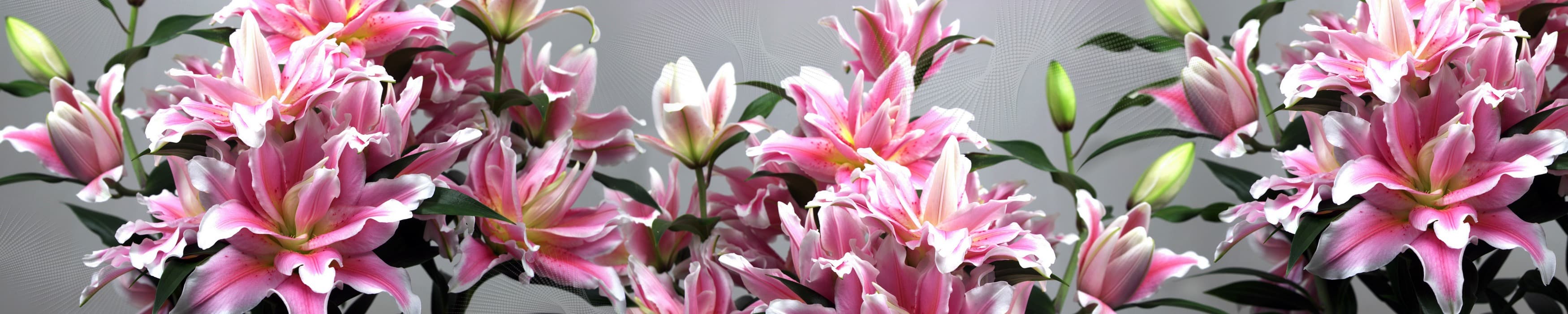 <span  class="uc_style_uc_tiles_grid_image_elementor_uc_items_attribute_title" style="color:#ffffff;">skinali-11325</span>