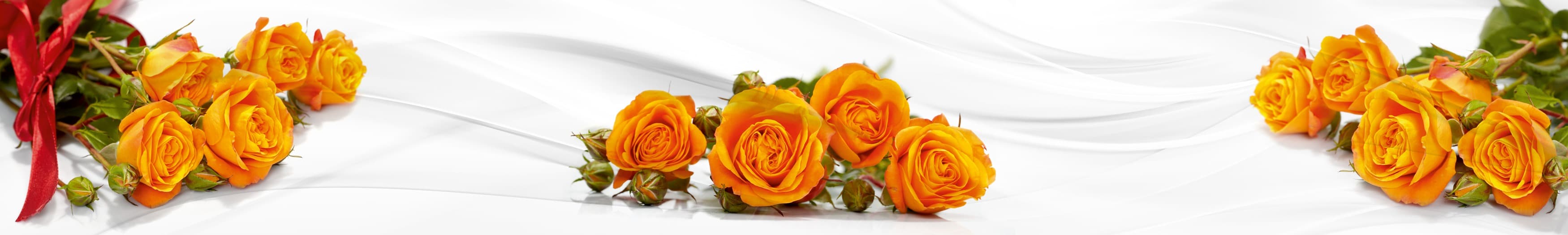 <span  class="uc_style_uc_tiles_grid_image_elementor_uc_items_attribute_title" style="color:#ffffff;">skinali-11371</span>