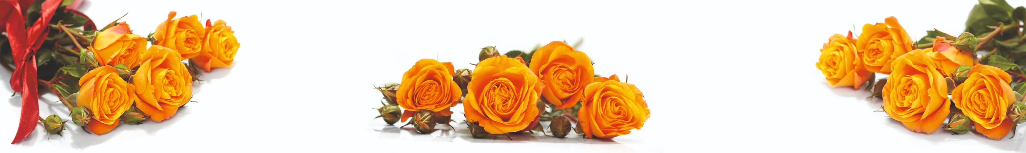 <span  class="uc_style_uc_tiles_grid_image_elementor_uc_items_attribute_title" style="color:#ffffff;">skinali-11372</span>