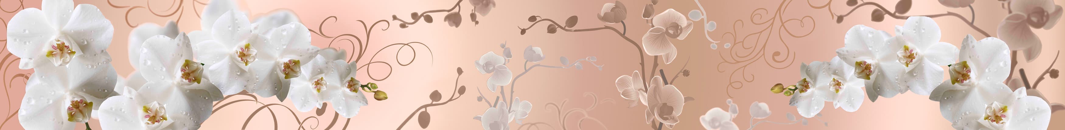 <span  class="uc_style_uc_tiles_grid_image_elementor_uc_items_attribute_title" style="color:#ffffff;">skinali-11623</span>