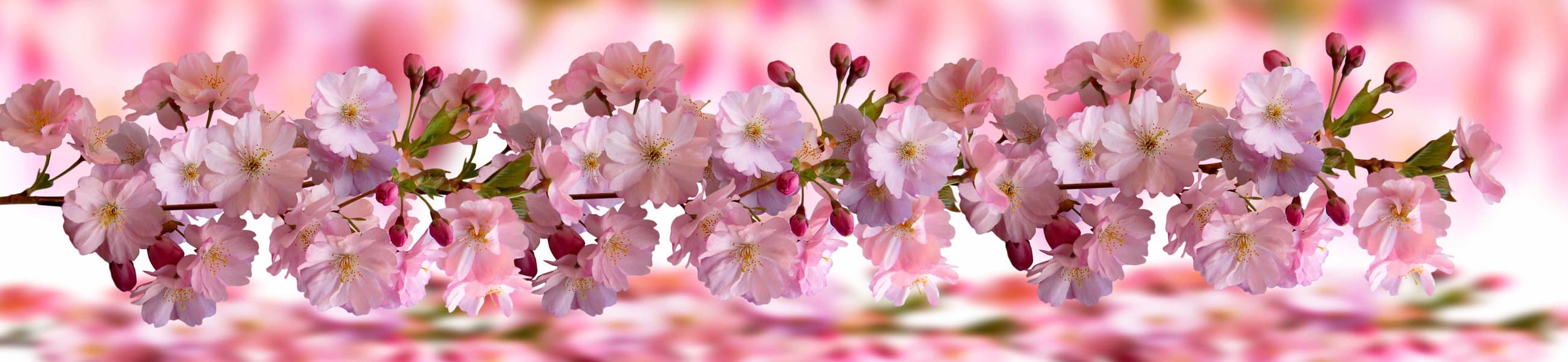 <span  class="uc_style_uc_tiles_grid_image_elementor_uc_items_attribute_title" style="color:#ffffff;">skinali-11627</span>