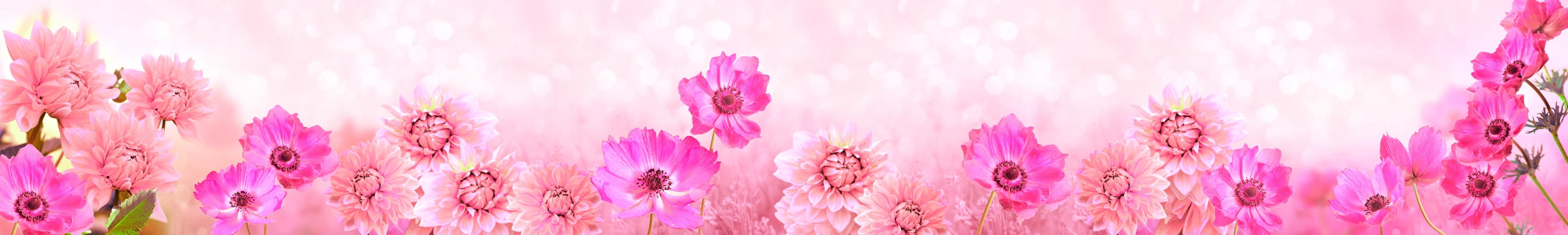 <span  class="uc_style_uc_tiles_grid_image_elementor_uc_items_attribute_title" style="color:#ffffff;">skinali-11639</span>