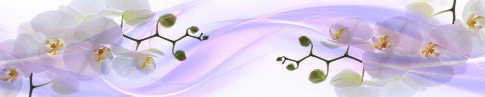 <span  class="uc_style_uc_tiles_grid_image_elementor_uc_items_attribute_title" style="color:#ffffff;">skinali-11684</span>
