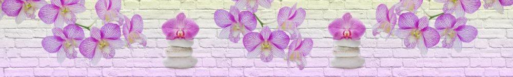 <span  class="uc_style_uc_tiles_grid_image_elementor_uc_items_attribute_title" style="color:#ffffff;">skinali 1183</span>