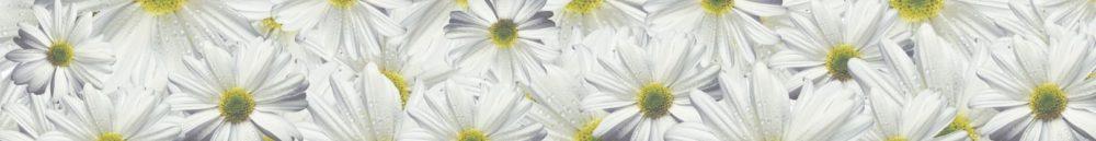 <span  class="uc_style_uc_tiles_grid_image_elementor_uc_items_attribute_title" style="color:#ffffff;">skinali-11837</span>