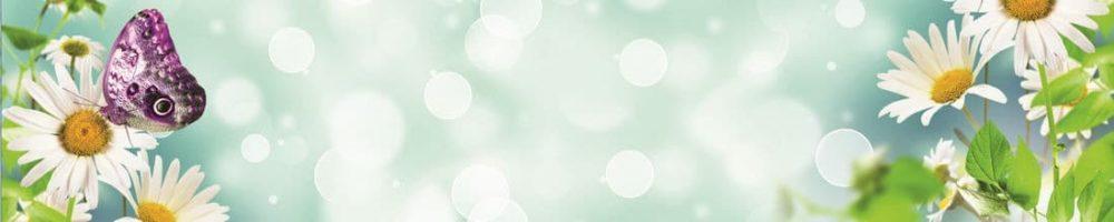 <span  class="uc_style_uc_tiles_grid_image_elementor_uc_items_attribute_title" style="color:#ffffff;">skinali 1305</span>