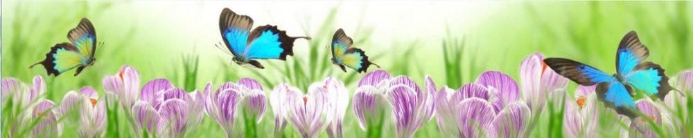 <span  class="uc_style_uc_tiles_grid_image_elementor_uc_items_attribute_title" style="color:#ffffff;">skinali 1381</span>