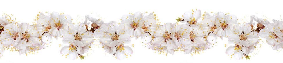<span  class="uc_style_uc_tiles_grid_image_elementor_uc_items_attribute_title" style="color:#ffffff;">skinali 1527</span>