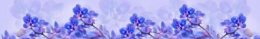<span  class="uc_style_uc_tiles_grid_image_elementor_uc_items_attribute_title" style="color:#ffffff;">skinali 1739</span>