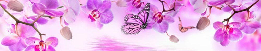 <span  class="uc_style_uc_tiles_grid_image_elementor_uc_items_attribute_title" style="color:#ffffff;">skinali 1755</span>