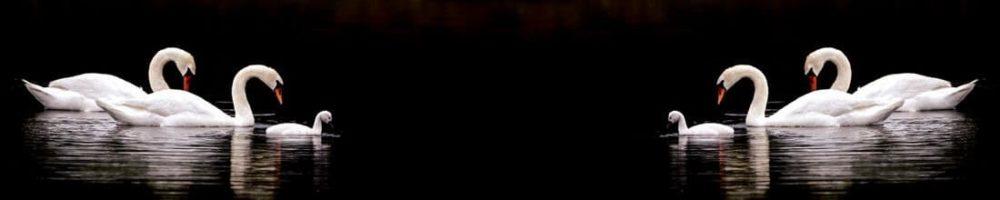 <span  class="uc_style_uc_tiles_grid_image_elementor_uc_items_attribute_title" style="color:#ffffff;">skinali 1828</span>