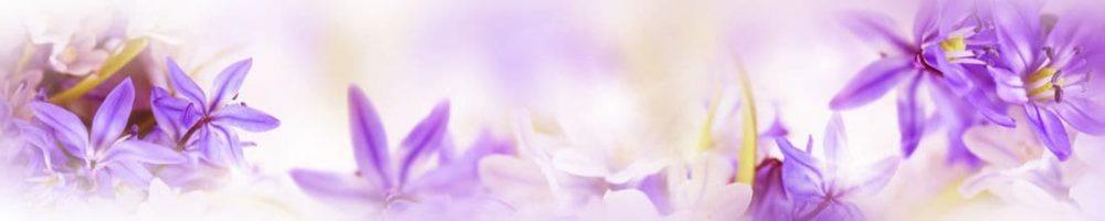 <span  class="uc_style_uc_tiles_grid_image_elementor_uc_items_attribute_title" style="color:#ffffff;">skinali 2012</span>