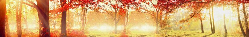 <span  class="uc_style_uc_tiles_grid_image_elementor_uc_items_attribute_title" style="color:#ffffff;">skinali 2039</span>