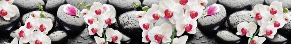 <span  class="uc_style_uc_tiles_grid_image_elementor_uc_items_attribute_title" style="color:#ffffff;">skinali 2093</span>